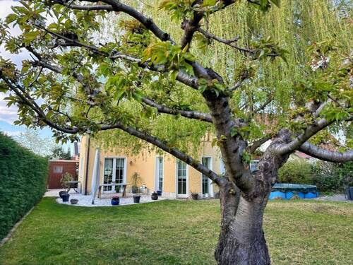Garten - 