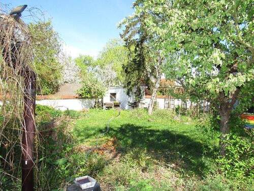 Garten mit Blick auf das Gerätehaus - 