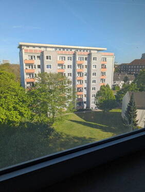 Blick ins Grüne - 