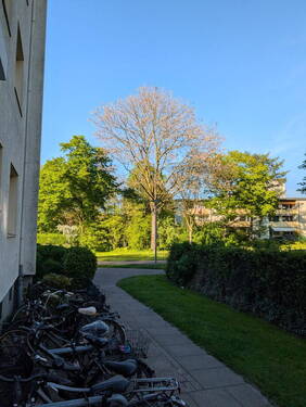 Wohnen im Grünen - 