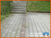 1 Stellplatz - 
