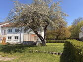 Garten mit Apfelbaum - Reihenendhaus mit 120,00 m&sup2; in Ulm zum Kaufen