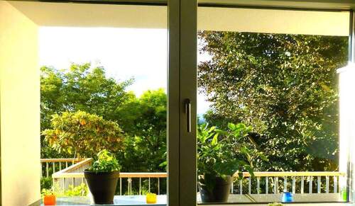 Ausblick aus der Küche - 