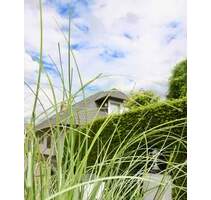 Einfamilienhaus für die große Familie - nähe Krupunder - uneinsehbares Grundstück - Rellingen