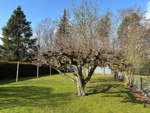 Garten.JPG - 5 Zimmer Doppelhaushälfte zum Kaufen in Neustadt in Holstein