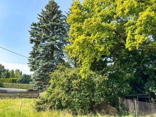 Blick aus dem Garten nach Nordwesten - 8 Zimmer Einfamilienhaus zum Kaufen in Steinigtwolmsdorf