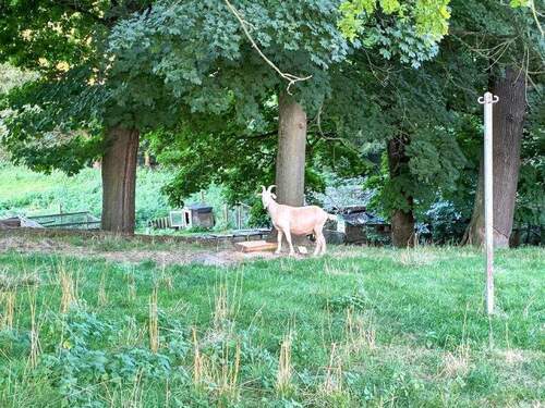 Nachbar auf Nordost - Einfamilienhaus mit 128,00 m&sup2; in Steinigtwolmsdorf zum Kaufen