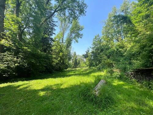 Bild4 - Grundstück in Ravensburg zum Kaufen