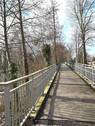 Die Brücke - 