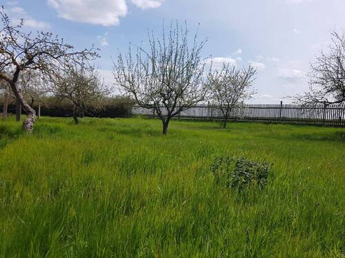 1bc79a78-f09c-4223-b842-1bcd6e5ce769.jpeg - Hochwertiges, Kernsaniertes Einfamilienhaus mit Fußbodenheizung und Einliegerwohnung in Gotha, OT