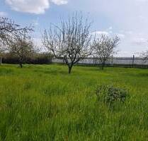 Hochwertiges, Kernsaniertes Einfamilienhaus mit Fußbodenheizung und Einliegerwohnung in Gotha, OT