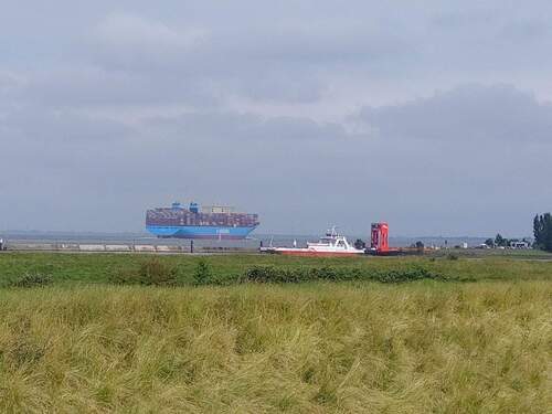 Blick zur Elbe - 