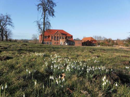 Landhaus Warnkenhagen mit großzügigem Grundstück - 2 Zimmer Etagenwohnung zur Miete in Kalkhorst