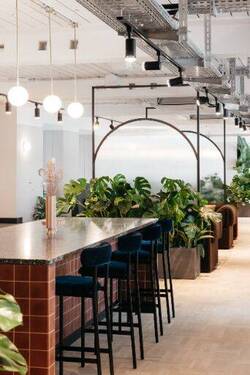 Lounge - 