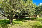 Alter Obstbaumbestand - 