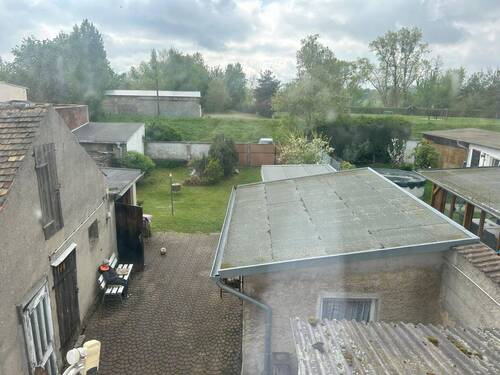 Blick in den Garten - 