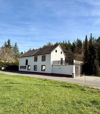 IMG_2462.jpeg - 5 Zimmer Mehrfamilienhaus, Wohnhaus zum Kaufen in Karlshausen