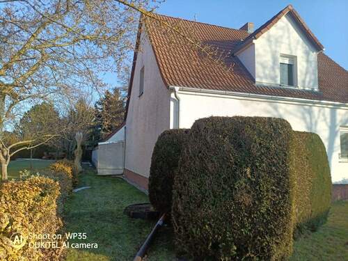 IMG_20260121_143051_011.jpg - 