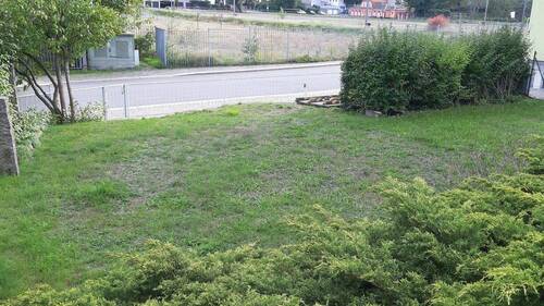 Blick zur Straße - 