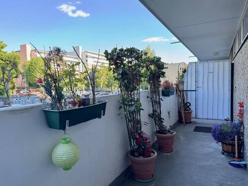 Renovierungsvorschlag - 