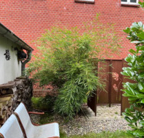 Charmanter 3-Zimmer-Bungalow mit Wintergarten in Ueckermünde