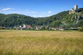 Wellheim mit Burg - 