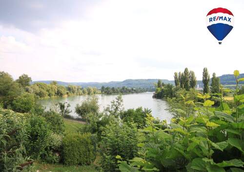 Aussicht - Gemütliche 1-Zimmer Wohnung mit Rheinblick in Kadelburg