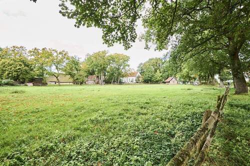 Impression Quelkhorn - 