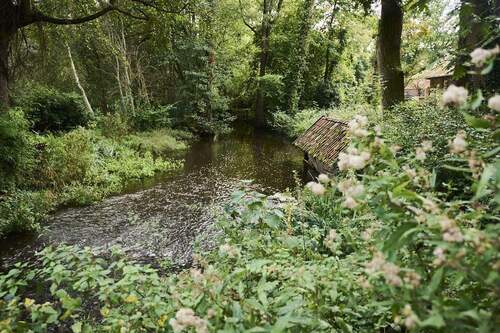 Impression Quelkhorn_3 - 