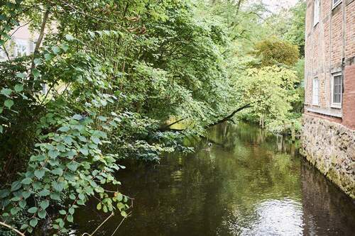 Impression Quelkhorn_4 - 