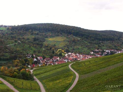 Sicht auf den Ort - Idyllisches Wohnen, umgeben von Weinbergen und Obstbaumwiesen.