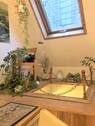 Schacht - 
