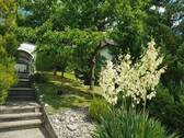Weg zum Haus - 