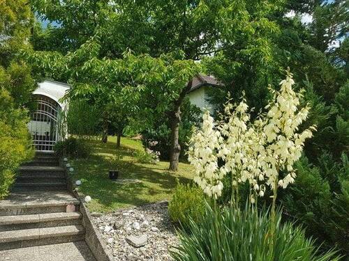Weg zum Haus - 