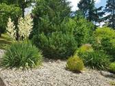 Garten - 