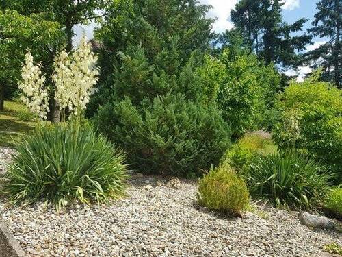 Garten - 