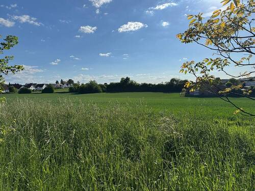 Aussicht vom Grundstück - 'Wohnen Sie in sehr beliebter Randlage, direkt angrenzend zur Natur' Moderne DHH in Erdmannhausen