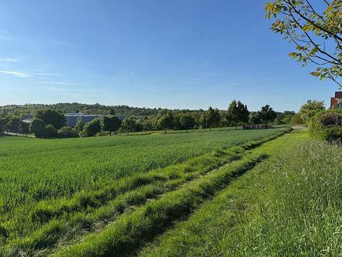 Aussicht vom Grundstück - Doppelhaushälfte mit 148,00 m² in Erdmannhausen zum Kaufen