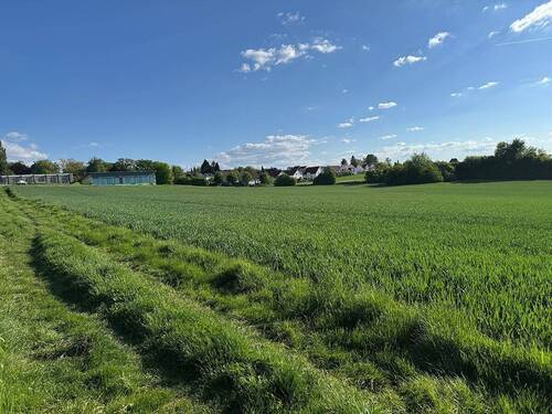 Aussicht vom Grundstück - 