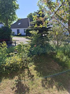 Garten zur Straße hin - 