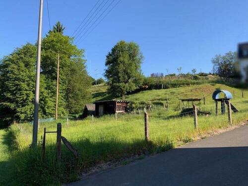 Strassenansicht - Grundstück in Pronsfeld zum Kaufen