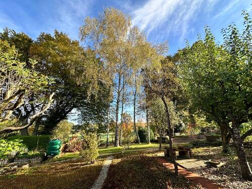 Garten - 