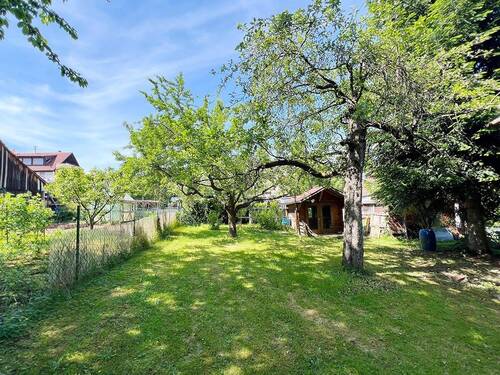 Blick in den Garten - 