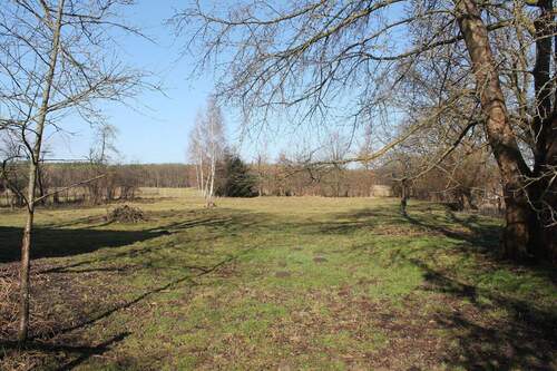 Landwirtschaftliche Fläche - 