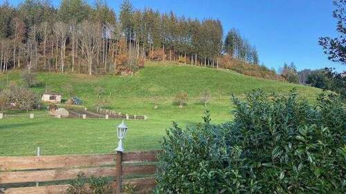angrenzendes Gelände..jpg - 1 Zimmer Hotel, Pension, Gasthof zum Kaufen in Bad Rippoldsau-Schapbach