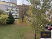 großer_Balkon_grüne_Aussicht - 1 Zimmer Etagenwohnung in Nürnberg