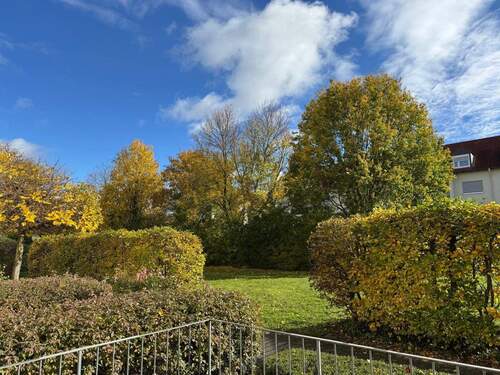 IMG-20251030-WA0012.jpg - 