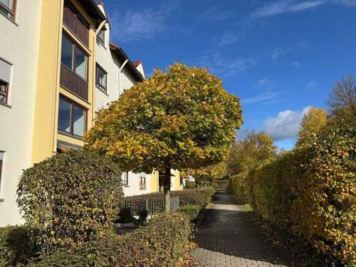 IMG-20251030-WA0011.jpg - 