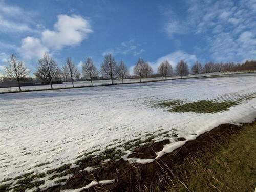 hinter dem Grundstück liegendes Feld - 