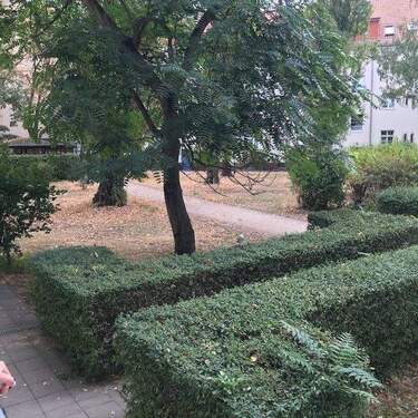 Innenhofgarten.jpg - 